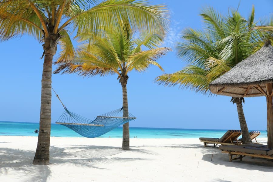 a hammock between two palm trees on a beach, Destinații exotice — CautaVacanta.ro